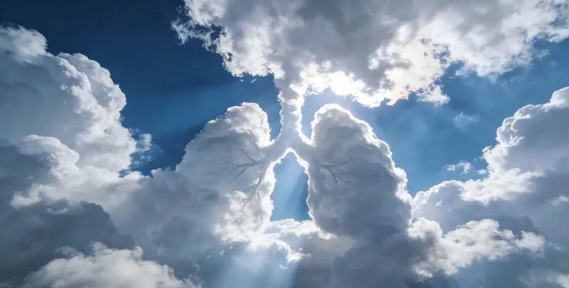 驻马店肺癌8基因突变检测（组织）图片1