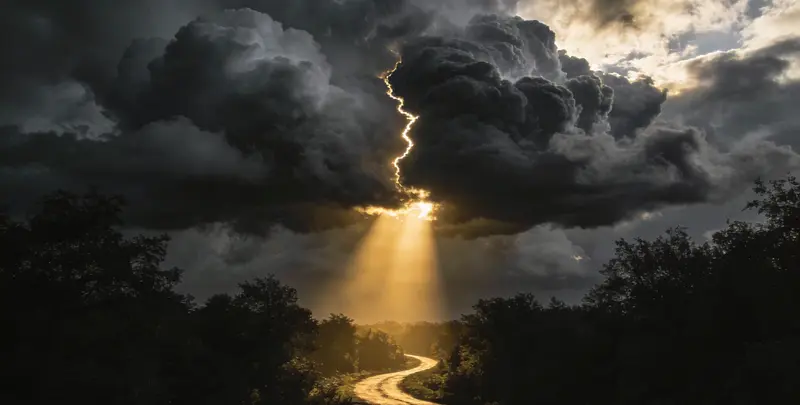 肺癌119基因检测图3