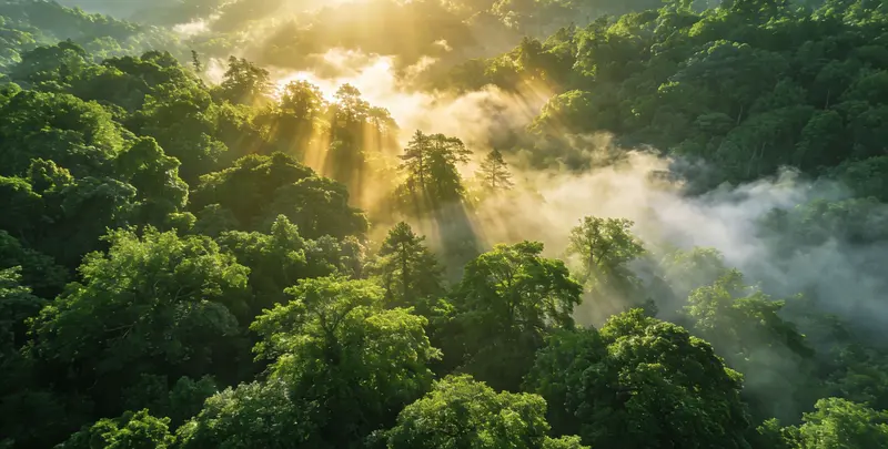 驻马店肺癌49基因检测图片1